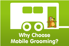 Why Choose  Mobile Grooming?